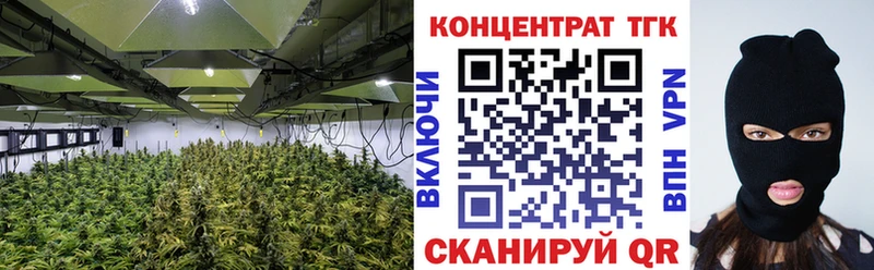 ТГК Wax  Богородицк 