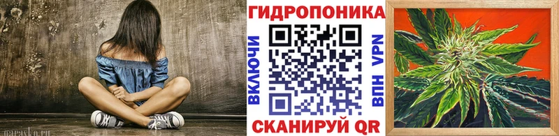 Бошки марихуана Amnesia  Богородицк 